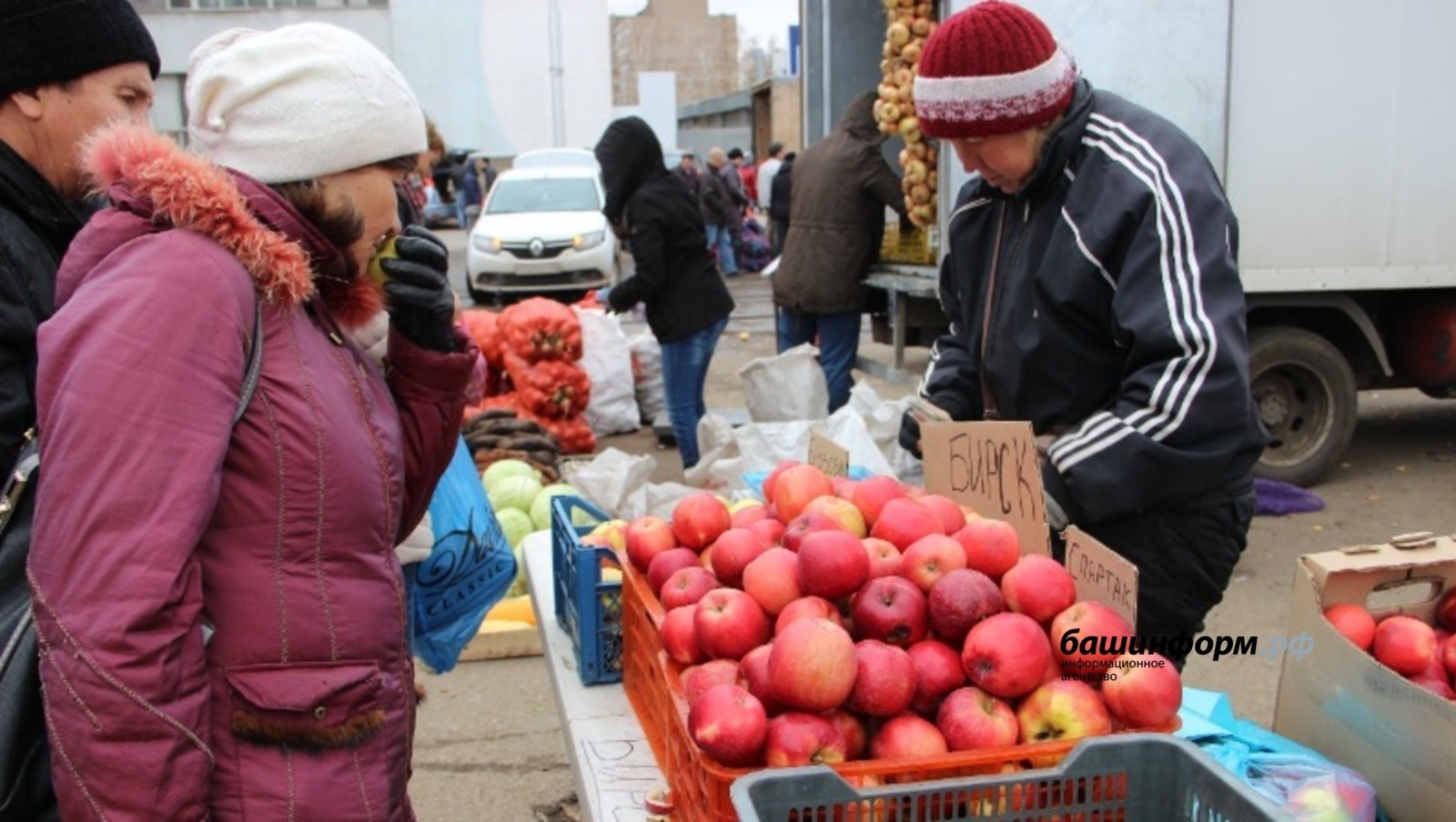 В Башкирии фермерские ярмарки пройдут в 23 городах и районах